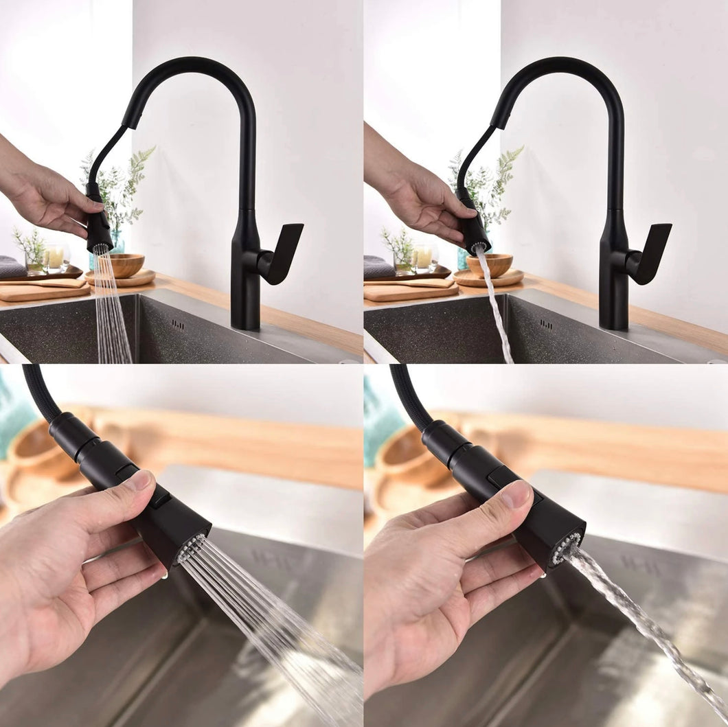 TIMELYSS PULL-DOWN DUAL SPRAY KITCHEN FAUCET