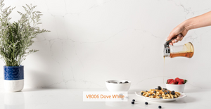 V8006 Dove White