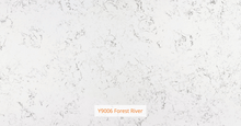 Load image into Gallery viewer, Y9006 Forest River