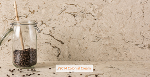 Y9014 Colonial Cream